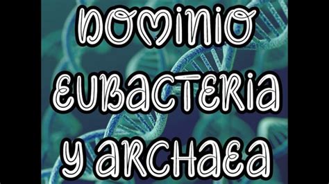 Diferencias Entre Arqueobacterias Y Eubacterias Actualizado Agosto