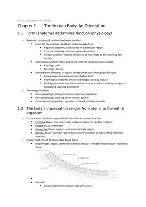 Nomenclature Cel En Weefsel Ta Nomenclature First Muscles