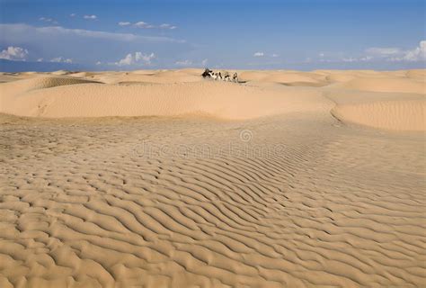 Dunas De Arena Del Desierto Del Sahara Al Fondo En Un Horizonte En