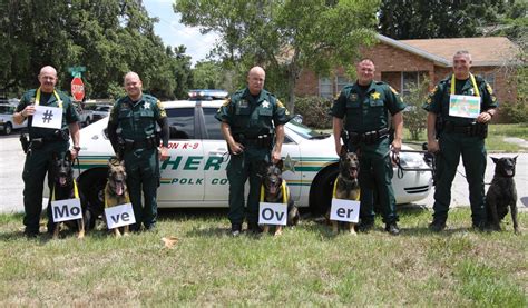 Department Of Law Enforcement Polk County Sheriffs Office