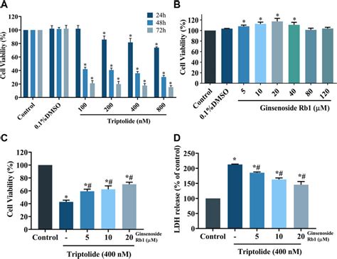 Frontiers Ginsenoside Rb Attenuates Triptolide Induced Cytotoxicity