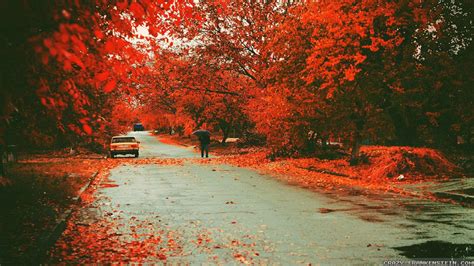 Autumn Street Wallpapers Top Free Autumn Street Backgrounds