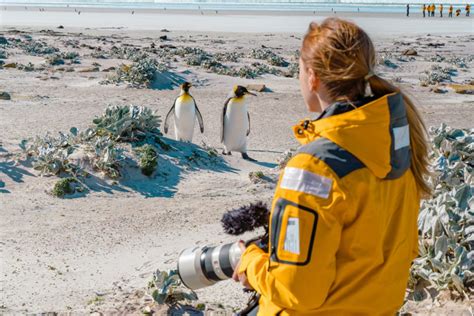 What’s It Like to Travel to Antarctica with Quark Expeditions?