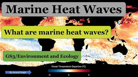 Exploring Marine Heat Waves Causes Impacts And Ecological Consequences Youtube