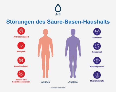 In 6 Schritten zum gesunden Säure Basen Haushalt