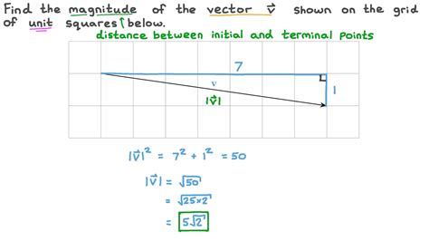 Question Video Finding The Magnitude Of A Vector Given Graphically Nagwa