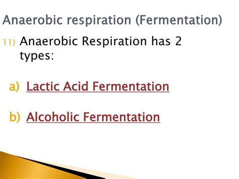 Ppt Cellular Respiration And Fermentation Powerpoint Presentation