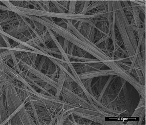 Scanning electron micrograph of the dried DMDBS gel, showing cavities ...