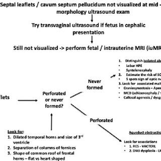 Algorithmic Approach To Diagnosis With Fetus With Lack Of Visualization