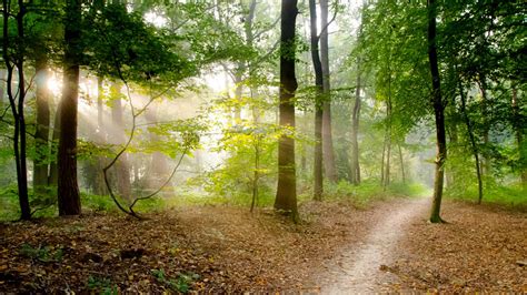 LACKAWANNA STATE PARK TRAILS | Countryside Conservancy