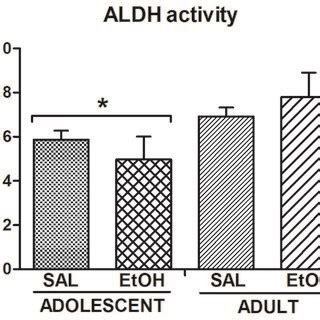 Aldehyde dehydrogenase (ALDH) activity. The enzyme activity was... | Download Scientific Diagram