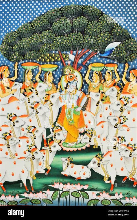 Lord Krishna With Cows Gopis Nathdwara Pichwai Artwork Painting Stock