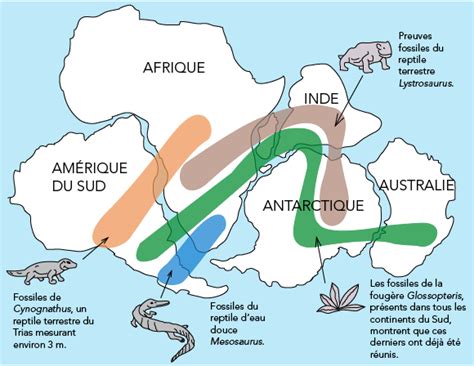 La D Rive Des Continents Et La Tectonique Des Plaques Parlons Sciences