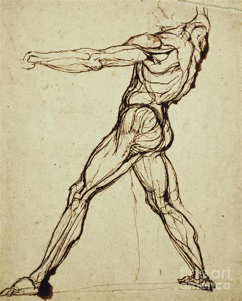 A Nude Throwing Drawing By Henry Fuseli Fine Art America