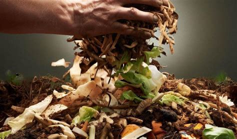 Composting with Yard Waste: Transforming Garden Clippings into Compost ...