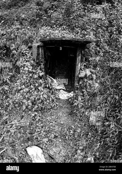 Illegal Mining In Indonesia Stock Photo Alamy