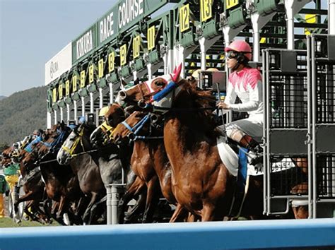 Jraが日本ダービー（2022）の登録馬を発表！皐月賞馬ジオグリフら22頭が登録 競馬ヘッドライン