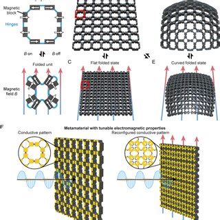 Magnetically Actuated Metamaterial Conforms To Different Geometries A