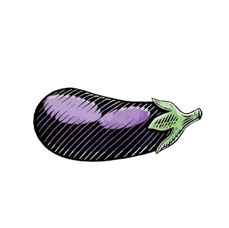 Premium Vector Purple Eggplant Scratchboard Engraved Vector