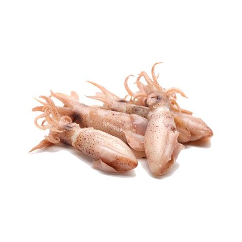 Baby Squid Supplier from China - Ocean Treasure - Seafood experts