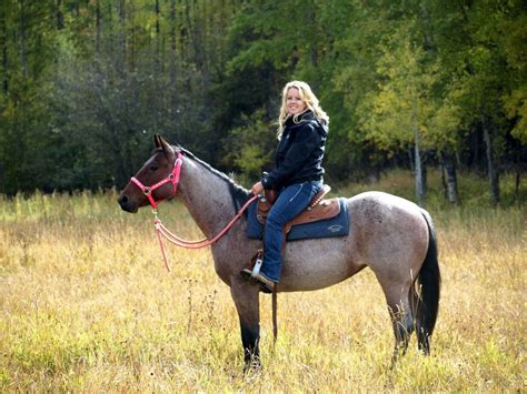 Bay Roan | Black horses, Beautiful horses, Quarter horse