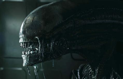 Alien Covenant Ultra HD Blu Ray Review AVS Forum