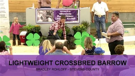 Bradley Rohloff Stevens County Lightweight Crossbred Barrow YouTube