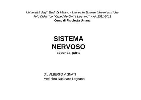 Pdf Sistema Nervoso Albvig Altervista Orgalbvig Altervista Org