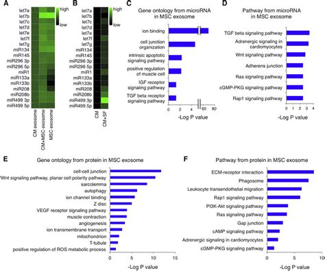 Micrornas And Proteins In Hmsc Derived Exosomes A And B Expression Of