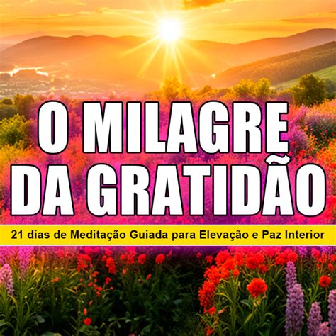 O Milagre Da Gratid O Dias De Medita O Guiada Para Eleva O E Paz