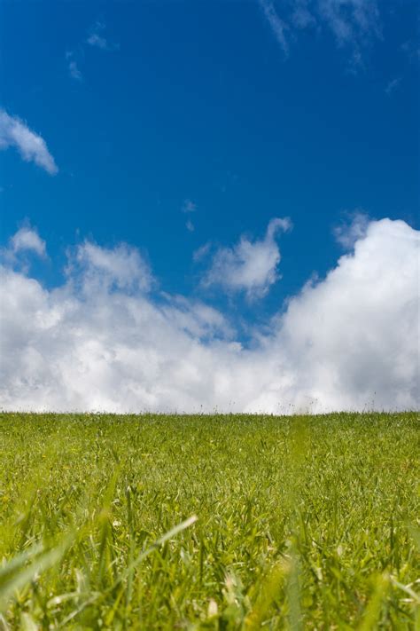 Free Images Landscape Nature Horizon Cloud Sky Field Meadow