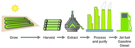 Enthalpy Chemistry For Majors