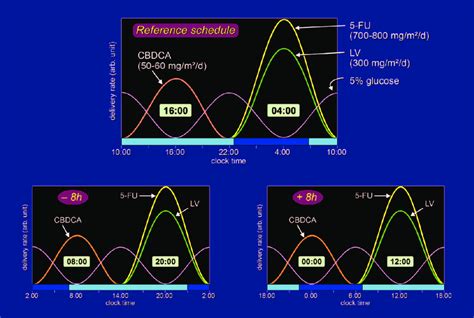 Programs Of Ambulatory Chronotherapy With 5 Fu Folinic Acid Download Scientific Diagram