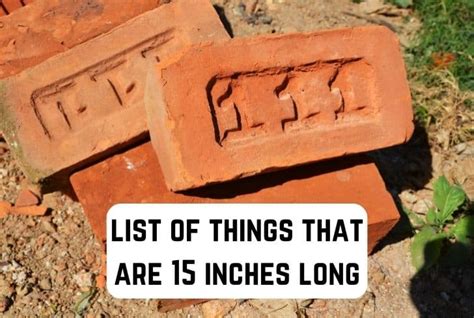 8 Common Things That Are 15 Inches Long Measuringly