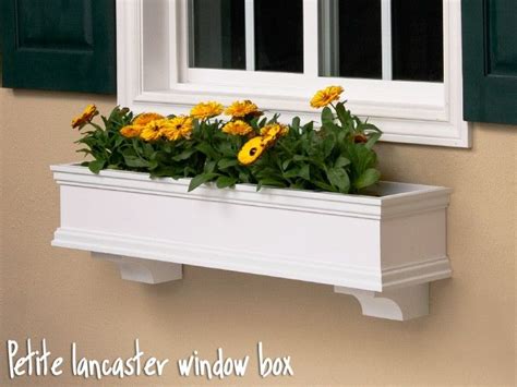 White Window Box With Yellow Flowers Flower Window Window Box