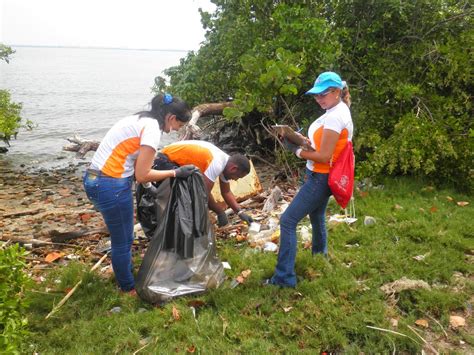 Secretaría De Ambiente Gbz Gobierno Grupos Ambientalistas Y Empresas