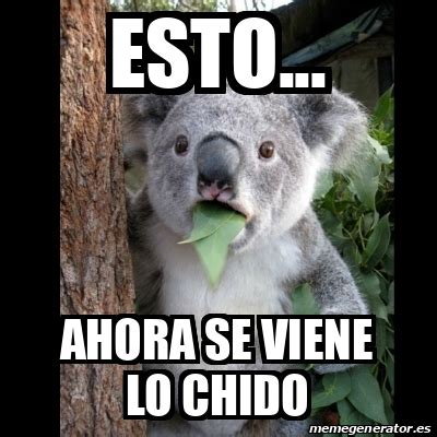 Meme Koala Esto Ahora Se Viene Lo Chido 33062928