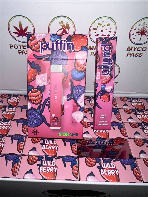 Buy Puffin Disposable Vape Online 1st Best Puffin Dispo