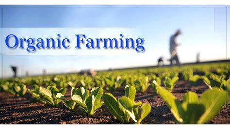 Introduction To Organic Farming