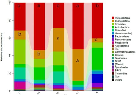 Bacterial Distribution Based On The Phylum Taxonomical Level The