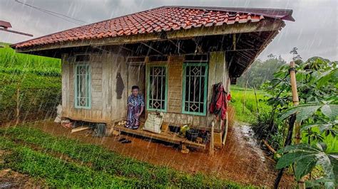 Suasana Hujan Di Rumah Tengah Sawah Jarang Orang Yang Berani Melakukan