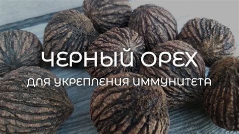 Настойка черного ореха (Tinctura Juglans Nigra) 250 / 500 мл купить в ...