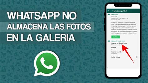 Dónde se guardan las fotos de WhatsApp Haras Dadinco