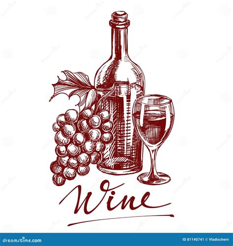 Collection Wine Hand Drawn Vector Llustration Sketch Stock Vector