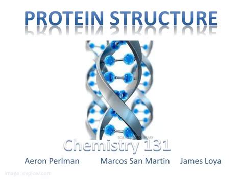 Ppt Protein Structure And Function Powerpoint Presentation Free 288