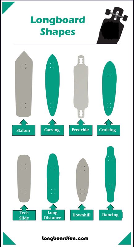 Understanding the Longboard Shapes - A Detailed Guide