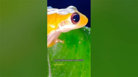 Continuous fear gets refined into instincts 🗣️🔥 - YouTube