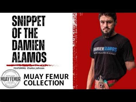 Muay Thai Teep And Movement Technique Snippet Of The Damien Alamos