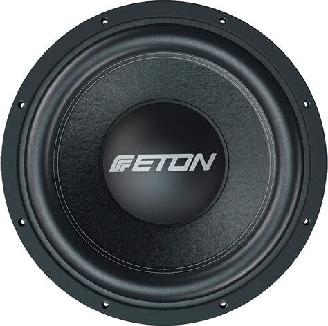 Eton Pw Power Cm Subwoofer Chassis Zoll Langhub Woofer Bass