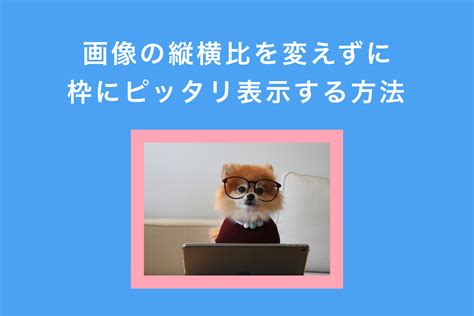 Css ｜ 画像の縦横比を変えずに枠にピッタリ表示する方法 My Web Learning Blog